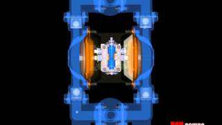 RANpump 1 Diaphragm Pump Animation Working System [upl. by Dleifrag]