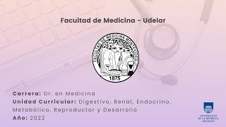 Anatomía  Vesícula Biliar y Conducto Cístico Porciones Relaciones Vasos y Nervios [upl. by Clapper]