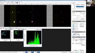 Image Stream MarkII Data Acquisition [upl. by Cioban418]