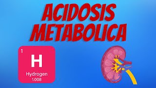 Acidosis Metabólica [upl. by Duwe]