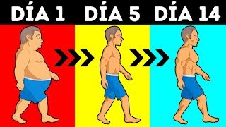 ¿CUÁNTAS CALORÍAS COMER AL DÍA – La manera mas PRECISA de saberlo [upl. by Ynattib]