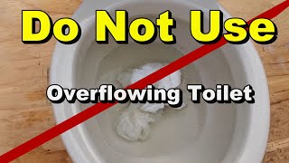 Fix Overflowing Toilet Easy DIY [upl. by Niall8]