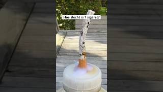 Publiciteit riproken Dit is wat 1 sigaret doet met je longen 🚬☠️ experiment [upl. by Allebasi]