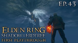 Elden Ring Shadow of the Erdtree RL 200  NG7  Optional bosses exploration and invasions [upl. by Wrennie]