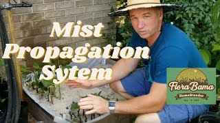 Mist Propagation System  Do this for cloning plants [upl. by Ahsitam]