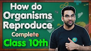 How Do Organisms Reproduce Reproduction Class 10 Science Chapter 7  Chapter 8  CBSE NCERT KVS [upl. by Alisander]