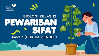 BIOLOGI SMA Kelas 12  Pewarisan Sifat PART 1 Hukum Mendel  GIA Academy [upl. by Nosyla]