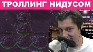 5 ОДНОВРЕМЕННЫХ НИДУСОВ ПРОФЕССИОНАЛЬНЫЙ ТРОЛЛИНГ В STARCRAFT 2  ЗЕРГ ПРОТИВ ТЕРРАНА SC2 GML EPIC [upl. by Nimzzaj682]