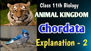 Chordata 👉🏻 Animal Kingdom Class 11th Biology education biology neet boardexam [upl. by Homerus]