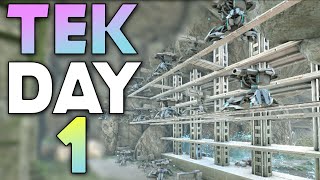 TAKING OUR CAVE AND GETTING TEK ON DAY 1 ON MTS  ARK Survival Evolved [upl. by Cirde]