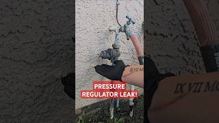 Pressure Regulator LEAK plumbing plumber fail leak shorts fyp plumbinglife [upl. by Garibold194]