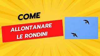 Come Allontanare le Rondini  Dissuasori e Repellenti [upl. by Yael]