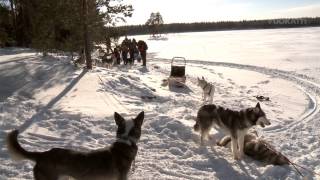 Jimin matkassa Vuokatissa  esittelyssä Vuokatti Husky [upl. by Weinrich]