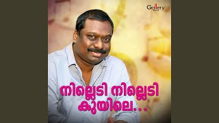 പതിനാലാം രാവുപോൽ│Pathinalam Ravupol│Manaf Ali amp Nisar Vatakara│Nilledi Nilledi Kuyile│Gallery Vision [upl. by Frentz]