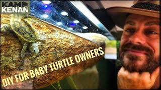 Build a Starter Tank for Baby Turtles amp Terrapin kamp kenan [upl. by Ahsatniuq965]