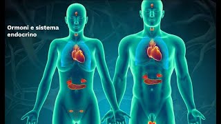 LE SUPERSINTESI DI SCIENZE Ormoni e sistema endocrino classe terza [upl. by Elenaj]