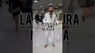 Ce inseamna fiecare centura in BJJ  Jiu Jitsu Brazilian [upl. by Ardna]