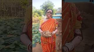 Elephant foot yam recipe plz support koro 🙏🙏shortsfeed cooking recipe viralvideo [upl. by Atsyrt971]