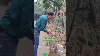 Lal langoti wala se Bhakta Ka rakhvala se short video viral [upl. by Gilbertine]