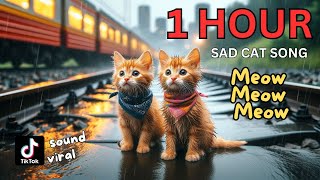 Meow Meow Meow Sad Song 1 Hour Compilation cat cute catlover cutecat aicat meow [upl. by Ntsud]