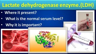 Lactate Dehydrogenase biochemistry LDHmedilabacademyCBC [upl. by Nomrej]