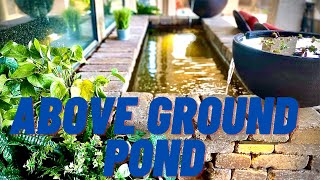 Above Ground FORMAL Patio Pond [upl. by Etnovad]