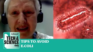 UK Ecoli outbreak how to avoid catching infection Tech amp Science Daily podcast [upl. by Cammy]