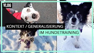 UPDATE Welpengruppe  Thema Kontext amp Generalisierung im Hundetraining [upl. by Ardeid12]