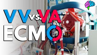 VV vs VA ECMO Explained [upl. by Ynar431]