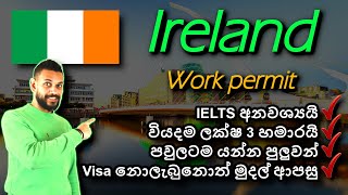 අයර්ලන්තයේ රැකියා වීසා අඩුම වියදමකින්  Ireland Critical Skills work visa 2024  No IELTS  Sinhala [upl. by Reger]