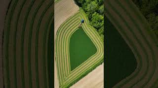 Cutting my 17 acre field of alfalfa agriculture farm farming Timelapse newholland farmer [upl. by Tsai]