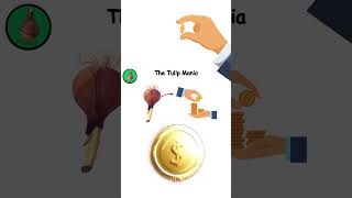 The Tulip Mania Explained Every Scam explained shorts [upl. by Allicsirp]