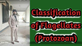 Lec2 Classification of Flagellates Protozoan  Hemofalgellates  Intestinal falgellate urduHindi [upl. by Nahshon]