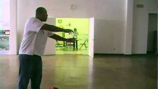 Qigong Empty Force [upl. by Kolk707]