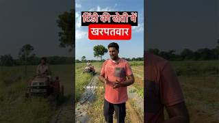 टिंडी की खेती में खरपतवार मिटानाmskfarms farmingideas farmingmethod trending [upl. by Rupert]