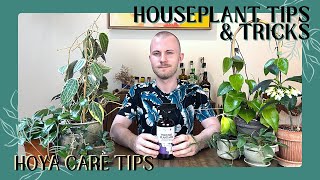 Care Tips For Hoyas  Houseplant Tips amp Tricks Ep 21 [upl. by Eniamreg]