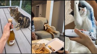 The Most HILARIOUS Animal Moments Ever Caught On Camera [upl. by Rosol356]