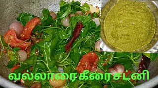 வல்லாரை கீரை சட்னி  Vallarai keerai Chutney in Tamil [upl. by Arahd455]