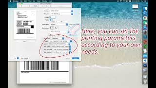 Mac Driver Setting for iDPRT SP410 Thermal Shipping Label Printer [upl. by Namreg]