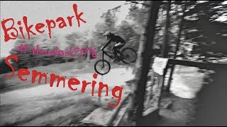 best of Miss Peaches MTB freeride 2016  Bikepark Semmering [upl. by Ntsyrk]