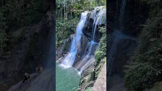 Gozalandia paradise in Puerto Rico waterfall turismo puertorico travel [upl. by Ecaroh]