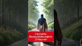 Cennette Besleyebileceğiniz 3 Hayvan hayalhanem sözlerköşkü dinivideolar islam dualar amin [upl. by Mikal521]