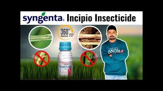 Incipio Insectiside । Syngenta Incipio । Isocycloseram 18। New Insecticide।FertiLizerExpert [upl. by Arias]