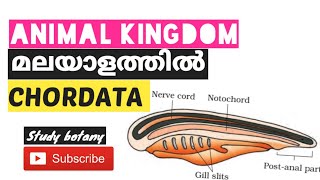 PHYLUM CHORDATA CHAPTER4 ANIMAL KINGDOM PLUS ONE BIOLOGY MALAYALATHIL PART14 STUDY BOTANY NCERT [upl. by Ruder]