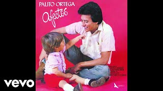 Palito Ortega  El Poema Es Contemplarte Official Audio [upl. by Haraz]