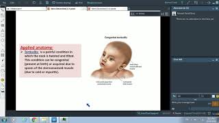 Posterior Triangle of Neck amp Sternomastoid Muscle  Dr Ahmed Farid [upl. by Bayly]