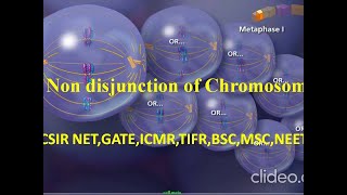 Non disjunction of chromosome meiosis animation [upl. by Lotsyrc]