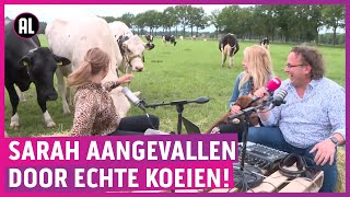 Zwagerman amp Van Velthuysen met podcast op zomertour [upl. by Donall]