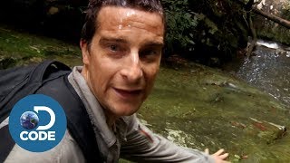 Bear Grylls in Borneo Jungle  Man vs Wild 56 [upl. by Landri]