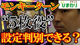 【5枚役】モンキーターンの設定判別について検証してみたｗｗ [upl. by Ecirehc222]